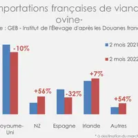 Source : GEB - Institut de l’Élevage d'après les Douanes françaises