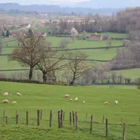 La prise en compte des attentes environnementales est bien ancrée dans la filière ovine qui intègre cette dimension dans une multitude de projets et d