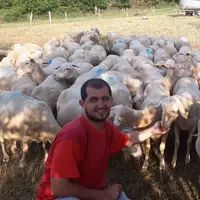Anthony Aurelle, éleveur de 390 brebis allaitantes en Haute-Loire, cherche des solutions pour pallier à son manque de surface de pâturage.