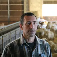 Laurent Fabry, éleveur de 250 brebis Lacaune en sélection dans l'Aveyron : "ça me fait plaisir de savoir que mes agnelles apportent de la bonne généti