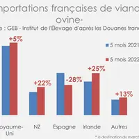 Source : GEB - Institut de l’Élevage d'après les Douanes Françaises