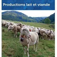 Avec 34 541 élevages ovins, la France a un taux d'auto-approvisionnement de 54 %.