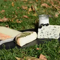 Les produits au lait de brebis sont riches en protéines, en minéraux et en vitamines..