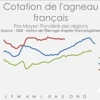 Source : GEB - Institut de l’Élevage d'après FranceAgriMer