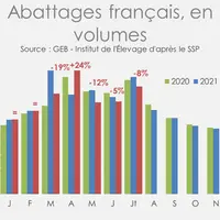Source : GEB - Institut de l’Élevage d'après le SSP