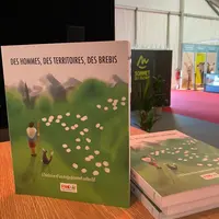 Des Hommes Des Territoires Des Brebis
