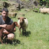 Jean Landes a intégré l'écopâturage dans l'offre commerciale de Landes espaces verts. Ses moutons assurent l'entretien des abords du château Castelnau