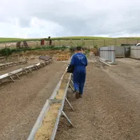 Les travaux des champs ou le soin aux animaux (ici la distribution du concentré) peuvent être facilement délégués à un salarié.