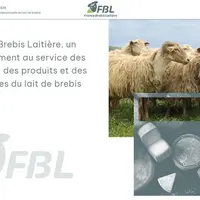 France Brebis laitière se dote d'un site internet.