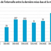 La durée de l'intervalle entre l'agnelage et la mise à la lutte est à prendre en compte dans sa stratégie. Plus elle est élevée, plus la fertilité est
