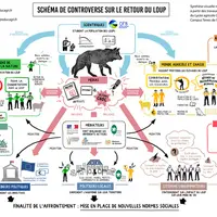 La controverse autour de la cohabitation entre le loup et les troupeaux domestiques a créé différentes factions qui s'affrontent sur le plan idéologiq