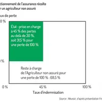 Fonctionnement de l’assurance récolte pour un agriculteur non assuré