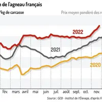 Source : GEB-Institut de l’élevage d'après FranceAgriMer