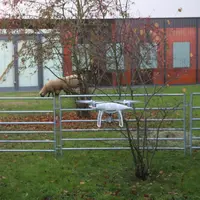 Lors de cette journée d'échanges, les participants pourront découvrir l'utilisation du drone en élevage ovin.