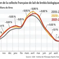 La collecte de lait de brebis bio s’est maintenue