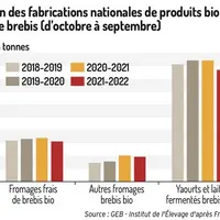 Baisse des fabrications de produits au lait de brebis bio