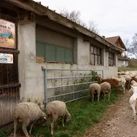 Jean-Michel Martin travaille l'hiver en station et Florence s'occupe également du gîte, des visites de la ferme et des marchés.