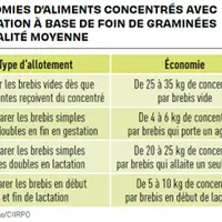 Chaque pratique d'allotement permet de faire économiser une part plus ou moins importante de concentrés.(Source : Idele/Ciirpo)