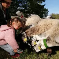 Estéban, berger, tondeur, formateur, en train de partager sa passion avec sa fille Coline.