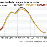 Évolution de la collecte française de lait de brebis
