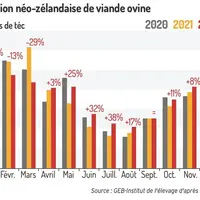 Production néozélandaise de viande ovine
