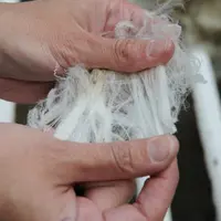 Recréer une filière française de valorisation de la laine va prendre plieurs années, entre réindustrialisation et sécurisation de débouchés.