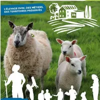 L'affiche officielle de Tech-Ovin 2023 a été dévoilée.