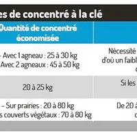 Faire pâturer brebis et agneaux en toutes saisons