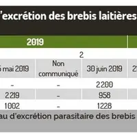 Pas d’effet du sainfoin pâturé en cure chez les brebis laitières