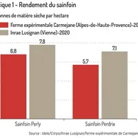 Le sainfoin, la chicorée et le plantain sur le banc d’essai