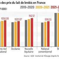Nouvelle hausse du prix payé aux éleveurs de brebis laitières en 2022