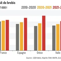 Prix du lait de brebis en Espagne, Italie et Grèce sur les dernières campagnes