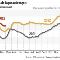 Le cours de l’agneau français termine sa baisse saisonnière