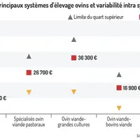 Des revenus en élevage ovin qui ne couvrent pas l’inflation