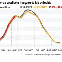 Décrochage de la collecte de lait de brebis après un bon démarrage de la campagne