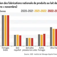 Les fabrications de fromages au lait de brebis sont stables