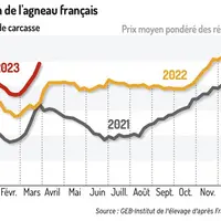Le cours de l’agneau français devrait atteindre un nouveau record pour Pâques
