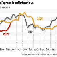 Net redressement de la cotation de l’agneau britannique à l’approche des fêtes religieuses