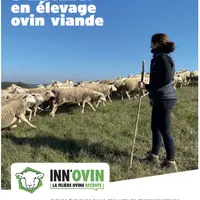 Le guide « S’installer en élevage ovin viande » a été actualisé avec de nouvelles thématiques et la prise en compte de l’évolution du contexte.