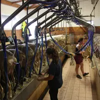Un quart des exploitations agricoles (toutes filières confondues) ne disposent pas d'espace de repos ni même de sanitaire pour les salariés.