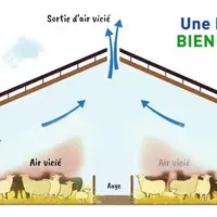 La circulation de l'air optimale est : entrée d'air frais sur le côté, sorti de l'air vicié par le faîtage.