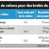 Réformer rapidement les brebis improductives