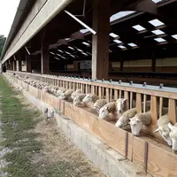 Les bergeries plus anciennes étaient conçues pour résister au froid, non pas au chaud. Ici, la bergerie du Ciirpo la plus récente est dotée d'un filet