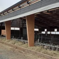 Les filets brise-vent mobiles sont intéressants pour permettre la circulation de l'air sur toute la longueur du bâtiment.