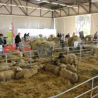 Aquitanima, le salon de l'agriculture de Nouvelle-Aquitaine, s'est tenu du 13 au 21 mai à Bordeaux.