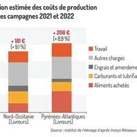 Les coûts de production en brebis laitières en très forte hausse en 2022