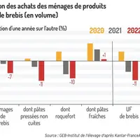 La baisse du pouvoir d’achat pèse sur les ventes de produits au lait de brebis en 2022