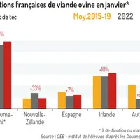 Les importations françaises de viande ovine progressent plus modérément début 2023