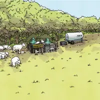 Dessin disposition nourrisseurs dans une prairie pour les agneaux au pâturage