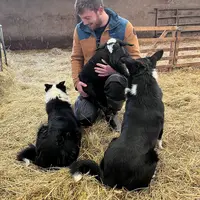 Lucas Perrin en compagnie de Max et Tom, ses chiens de berger.